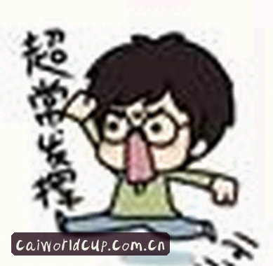 刘总